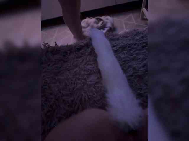 Juchka0089 webcam