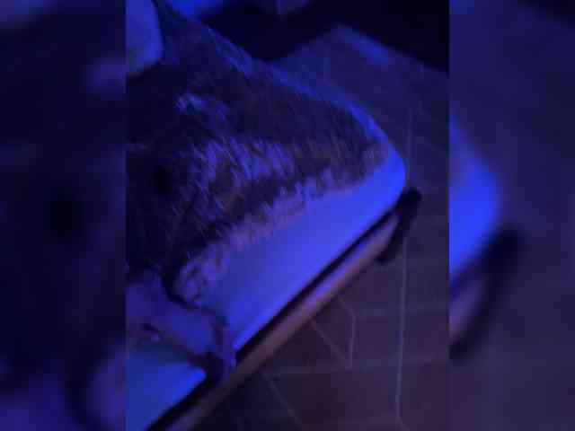 Juchka0089 webcam
