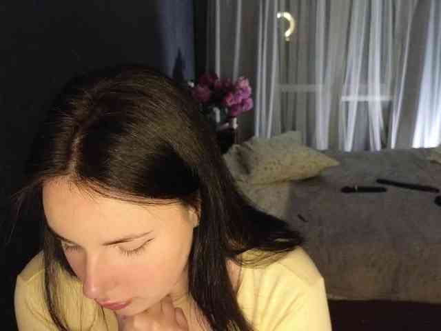 Lizaluk webcam