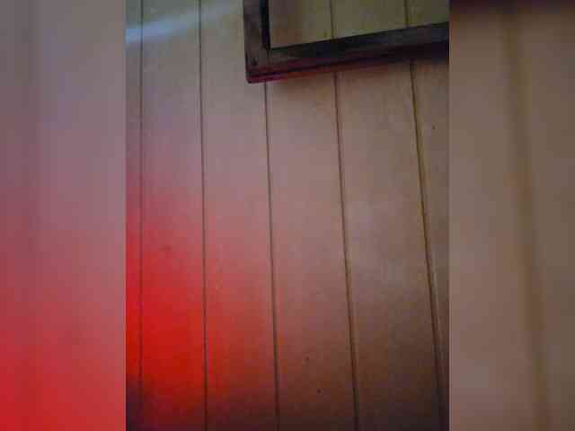 Lizaluk webcam