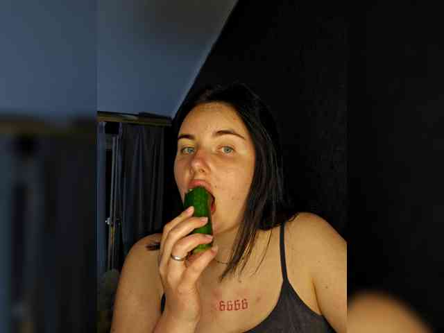 Lizaluk webcam