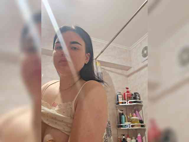 Lizaluk webcam