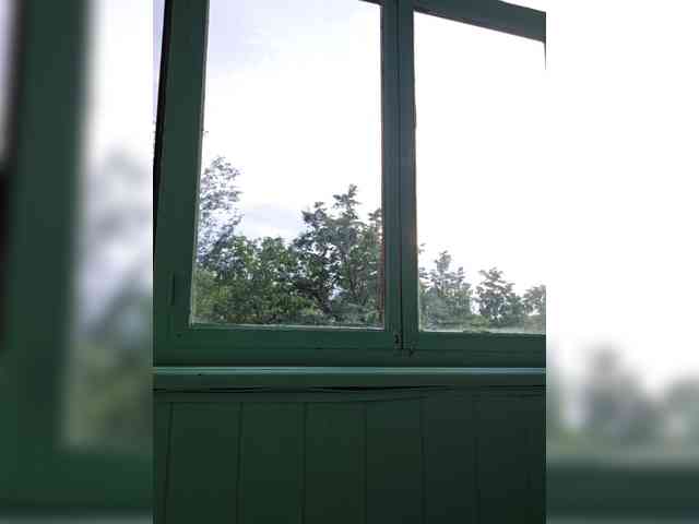 Lizaluk webcam