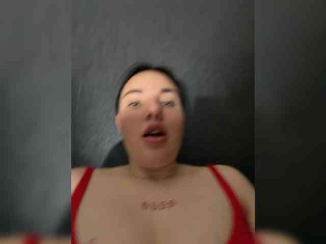 Lizaluk webcam