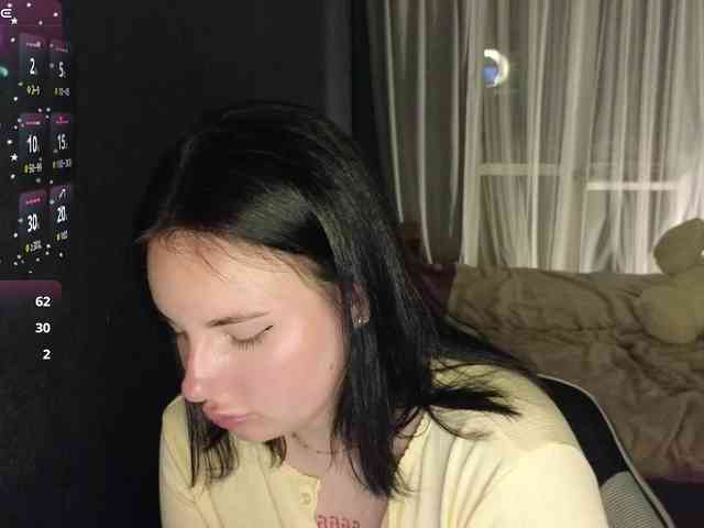 Lizaluk webcam