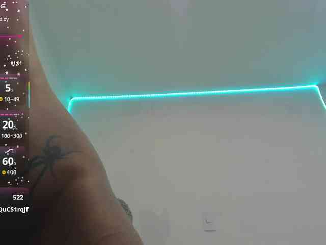 katiaGray2 webcam