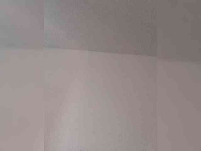 Anyi3903 webcam