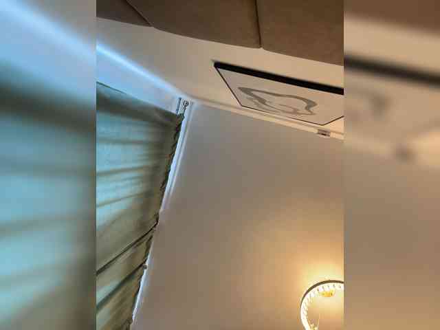soxiee webcam