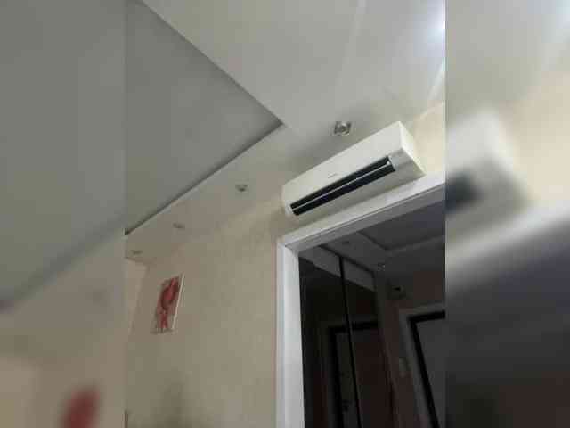 soxiee webcam