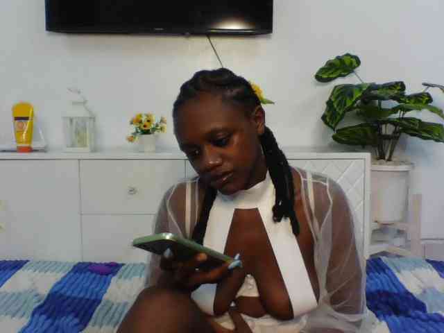 Snacky webcam