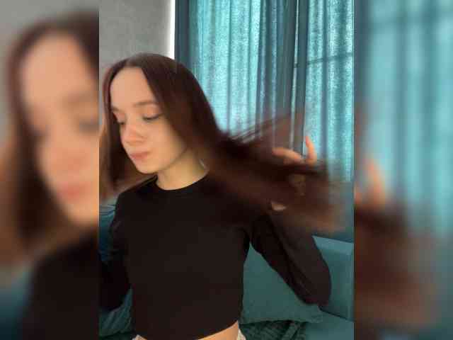 Модель: ElNika
