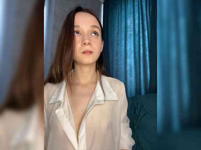 Модель: ElNika