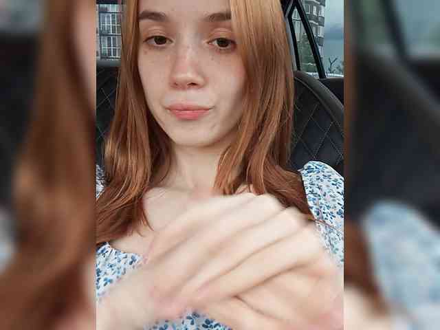 Модель: ElNika