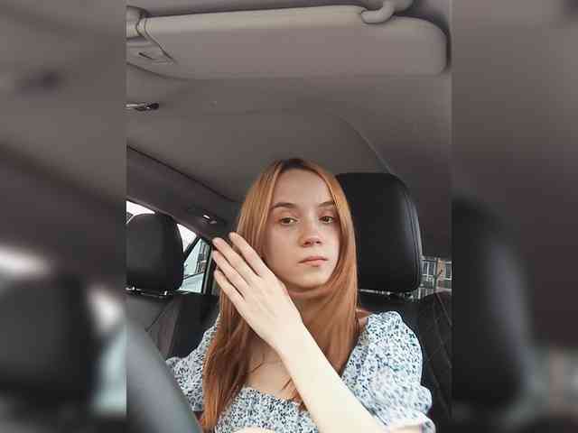 Модель: ElNika