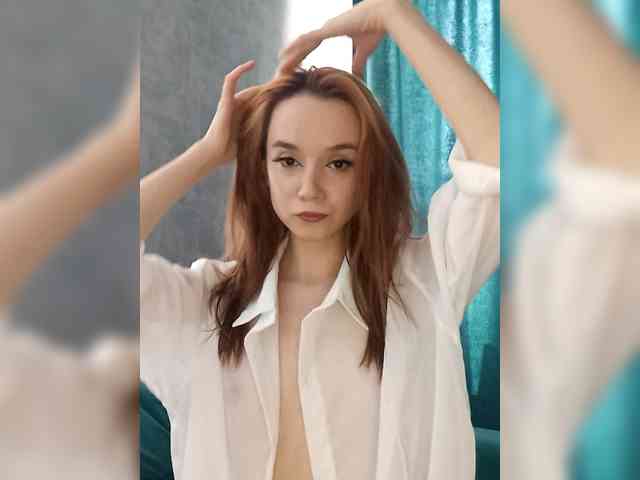 Модель: ElNika