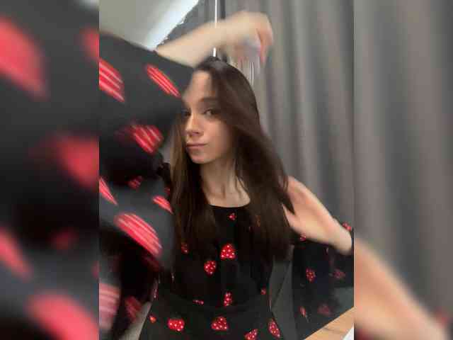 Модель: ElNika