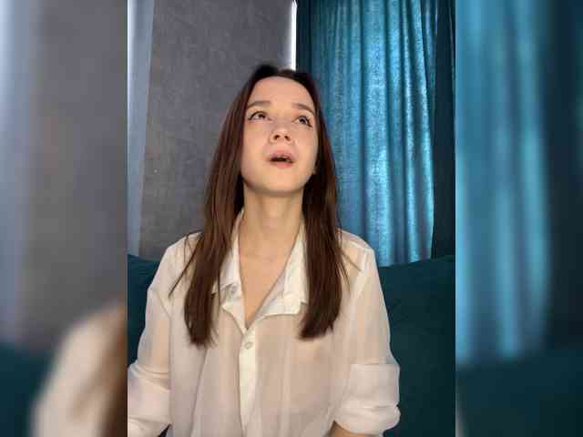 Модель: ElNika