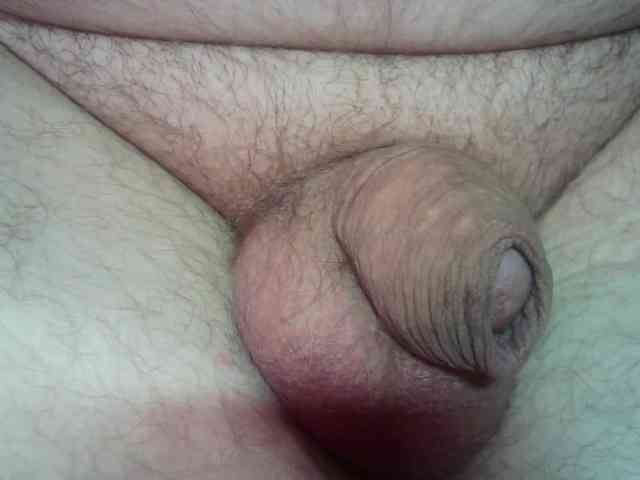 SuperLegs SuperLegs