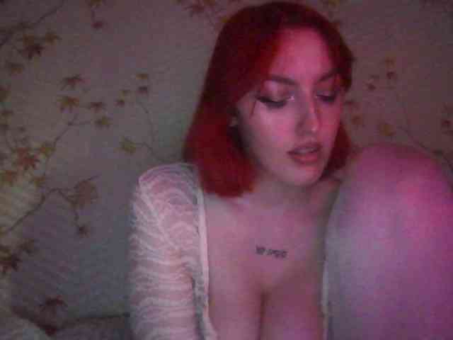 CloverEwings webcam