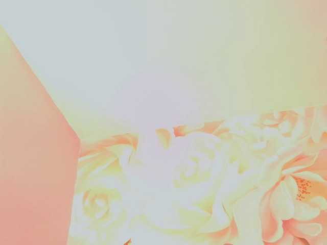 nylaroyale live cam on BongaCams