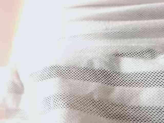 nylaroyale webcam