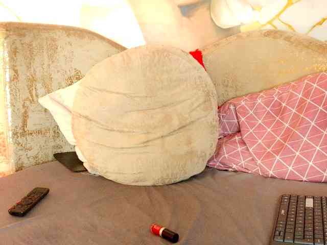 nylaroyale webcam
