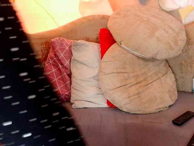 nylaroyale webcam