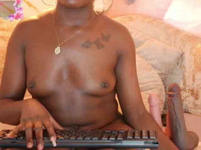 nylaroyale webcam