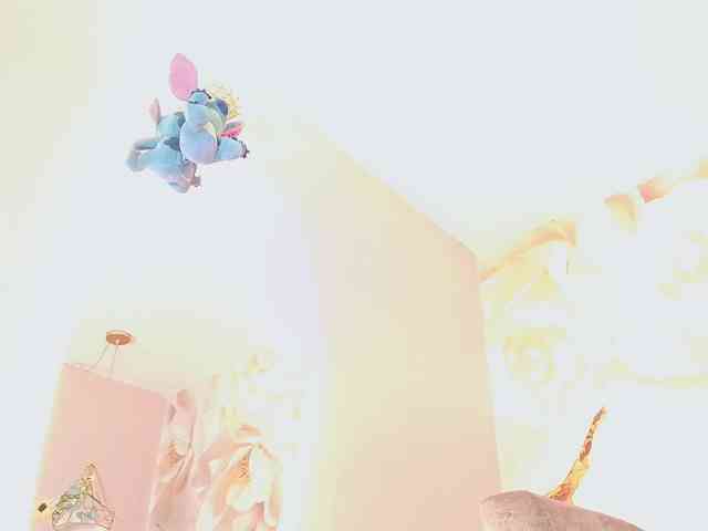 nylaroyale webcam