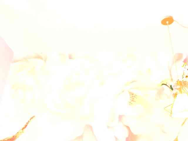 nylaroyale webcam