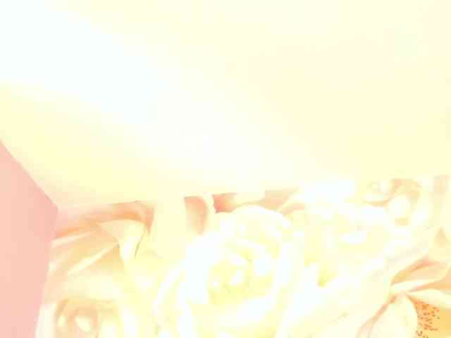 nylaroyale webcam