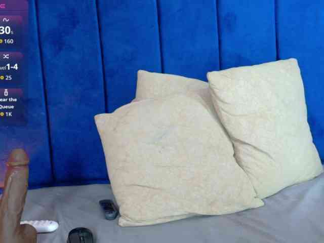nylaroyale webcam