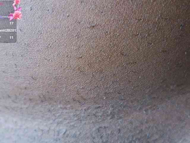 nylaroyale webcam