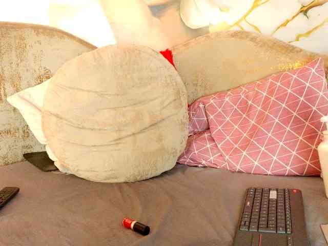 nylaroyale webcam