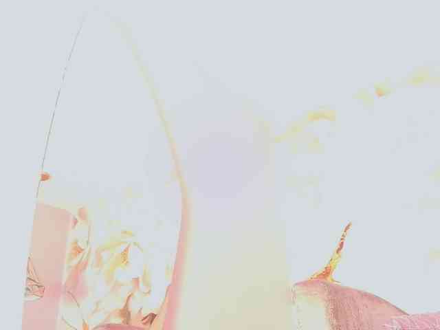 nylaroyale webcam