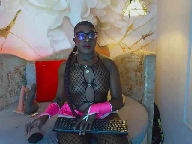 nylaroyale webcam