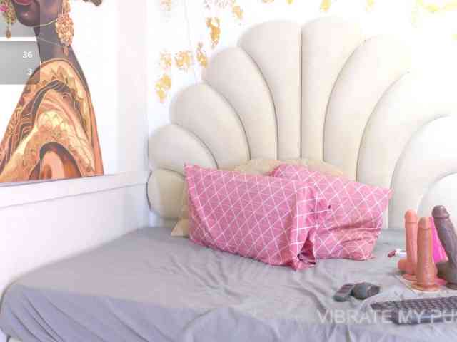 nylaroyale webcam