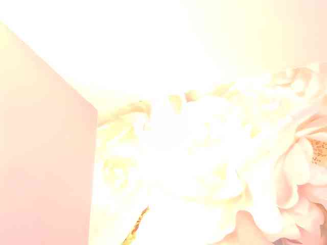 nylaroyale webcam