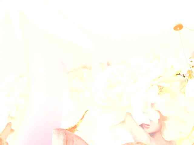 nylaroyale webcam