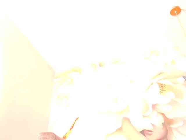 nylaroyale webcam