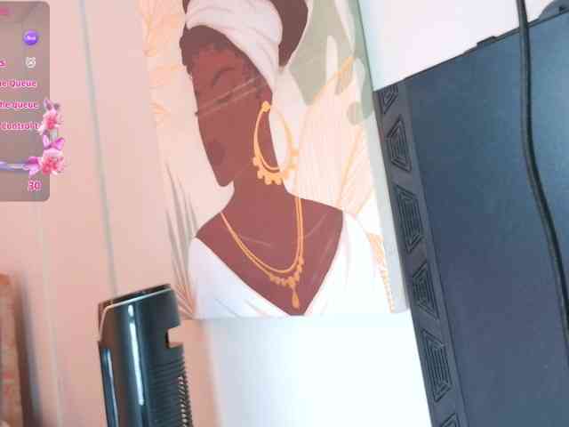 nylaroyale webcam