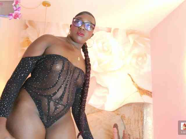 nylaroyale webcam