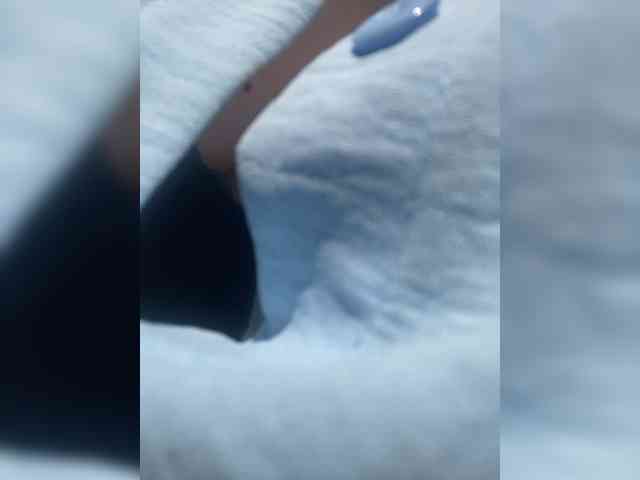 Natali_ webcam