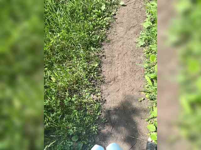 Natali_ webcam