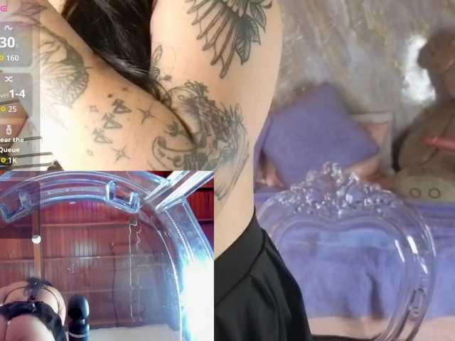 NikoleEvansM live cam on BongaCams