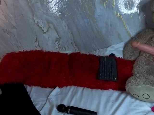 NikoleEvansM webcam