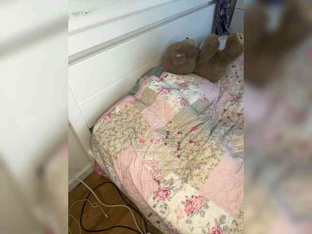 Waysb webcam