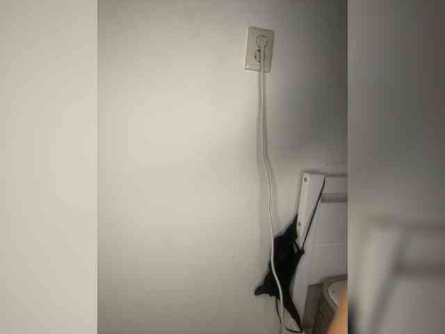 Waysb webcam