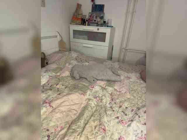 Waysb webcam