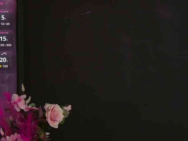 StepsisCeline webcam
